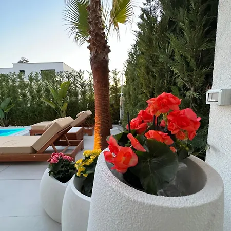 Villa Nicos Draç